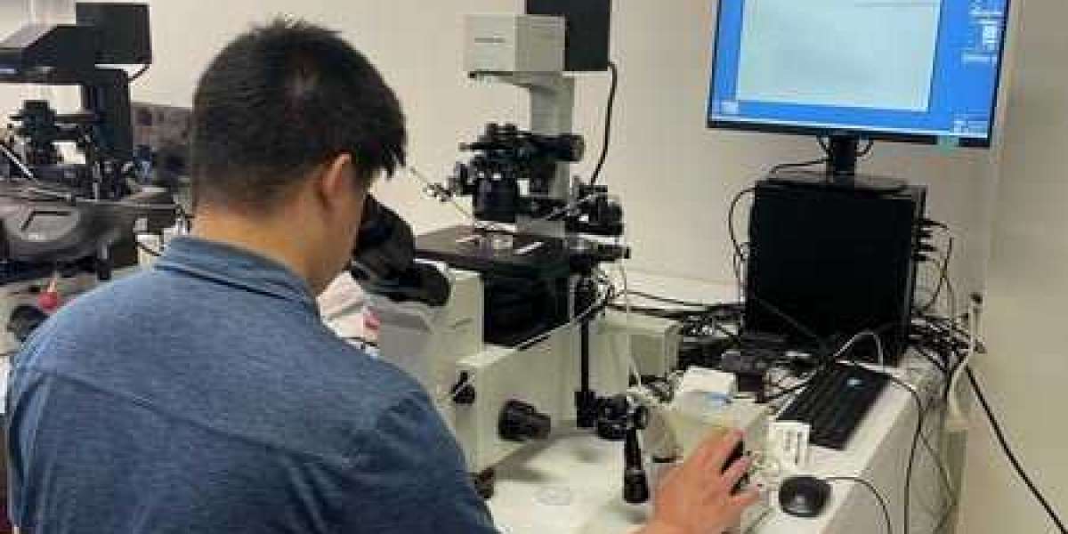 Planning Your Career in the Embryology Field? Must Know These Aspects