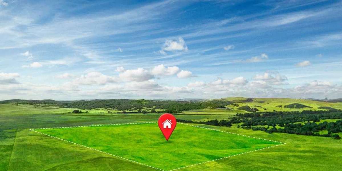 Property Surveyors Near Me