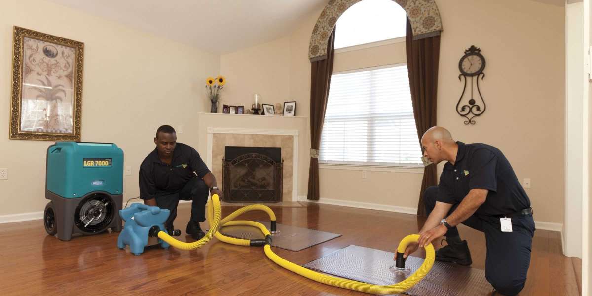 What to Know About Water Damage Insurance Claims