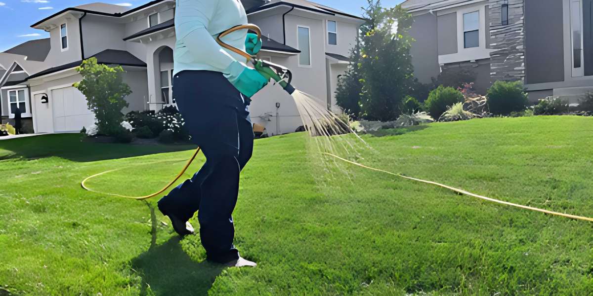 Maintaining A Healthy Lawn Throughout The Year: What To Remember