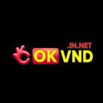 okvndinnet1 Profile Picture