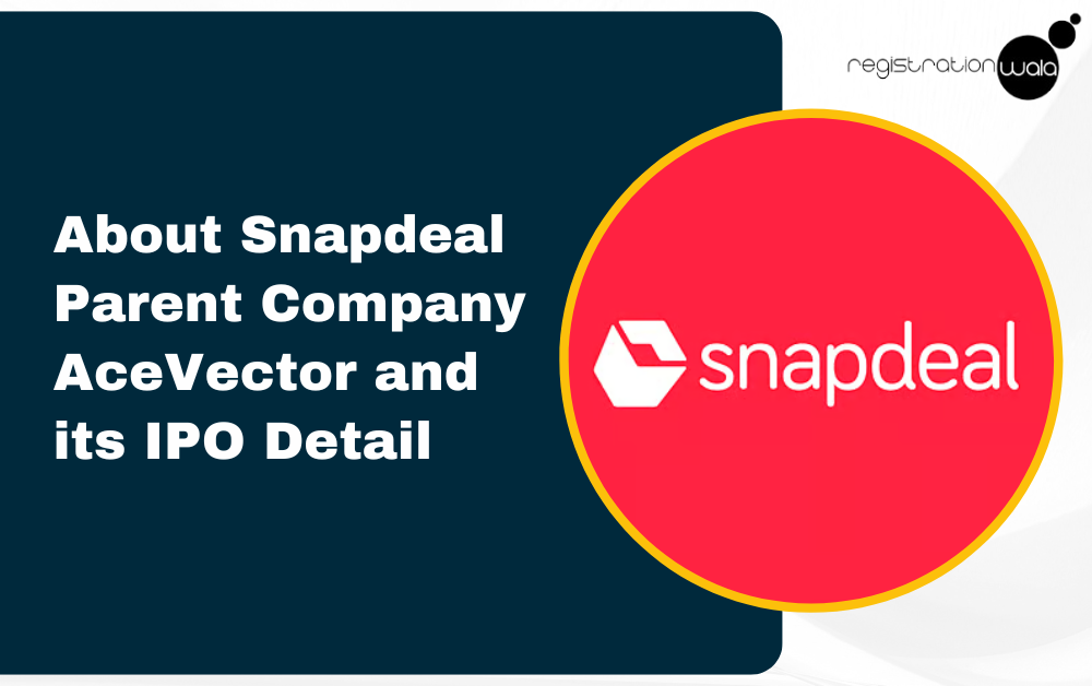 About Snapdeal Parent Company AceVector and Its IPO