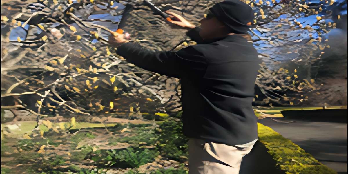 Semms Property Services: Specialises in Various Types of Landscaping Solutions