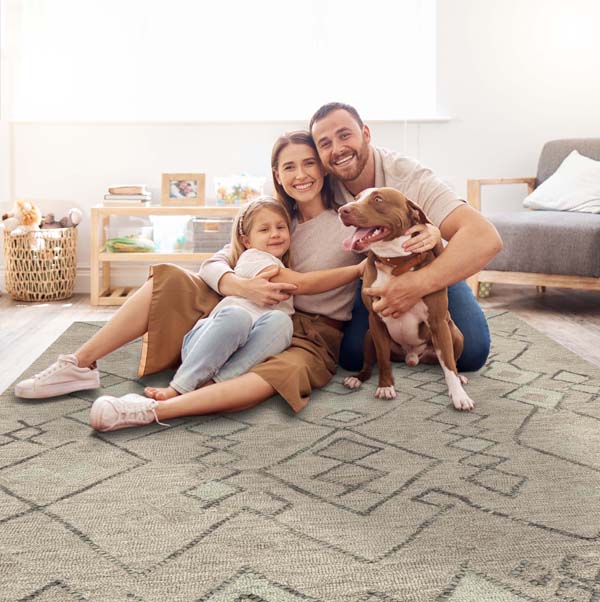 Modern and Contemporary area Rugs | Handmade Luxury Rugs USA