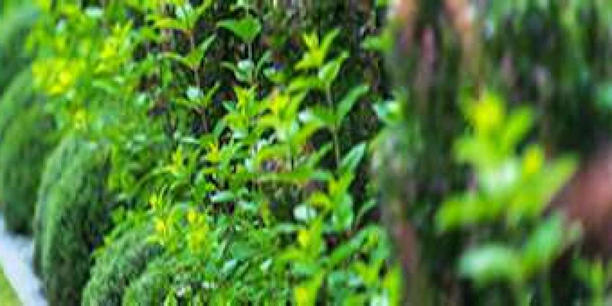 Sprinkler Winterization: Top 5 Reasons To Invest In It