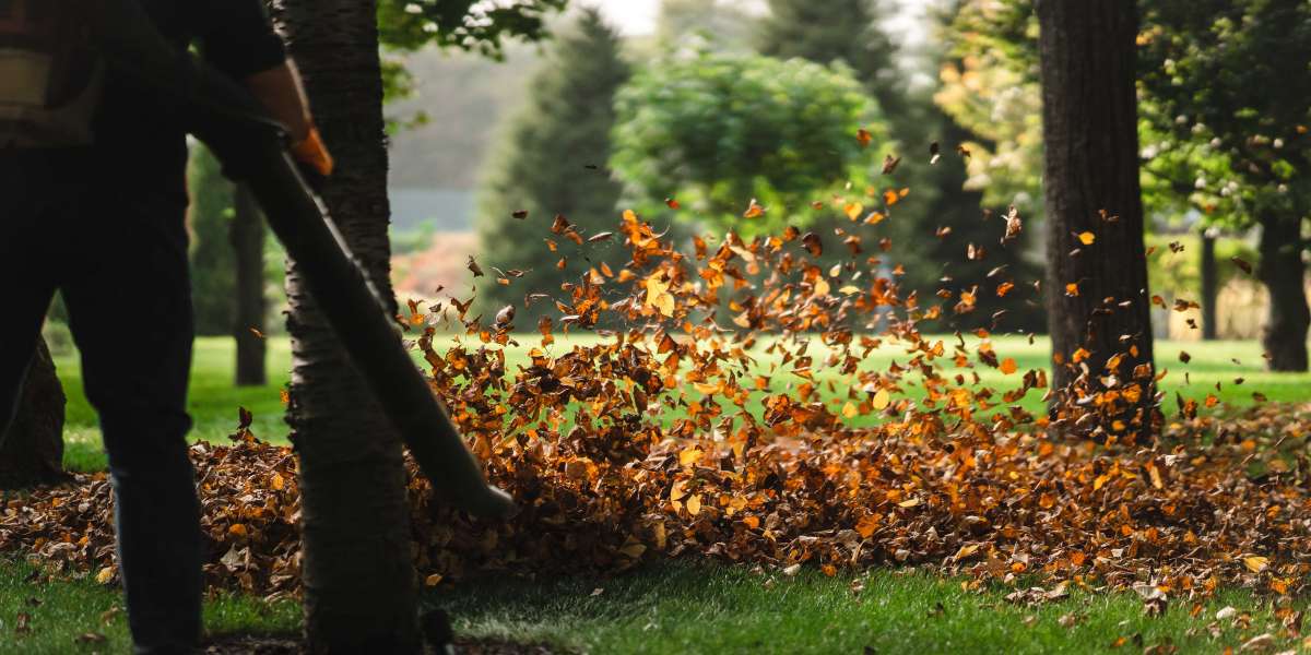 Prominent Role of Lawn Aeration Services in Maintaining Healthy Green Gardens