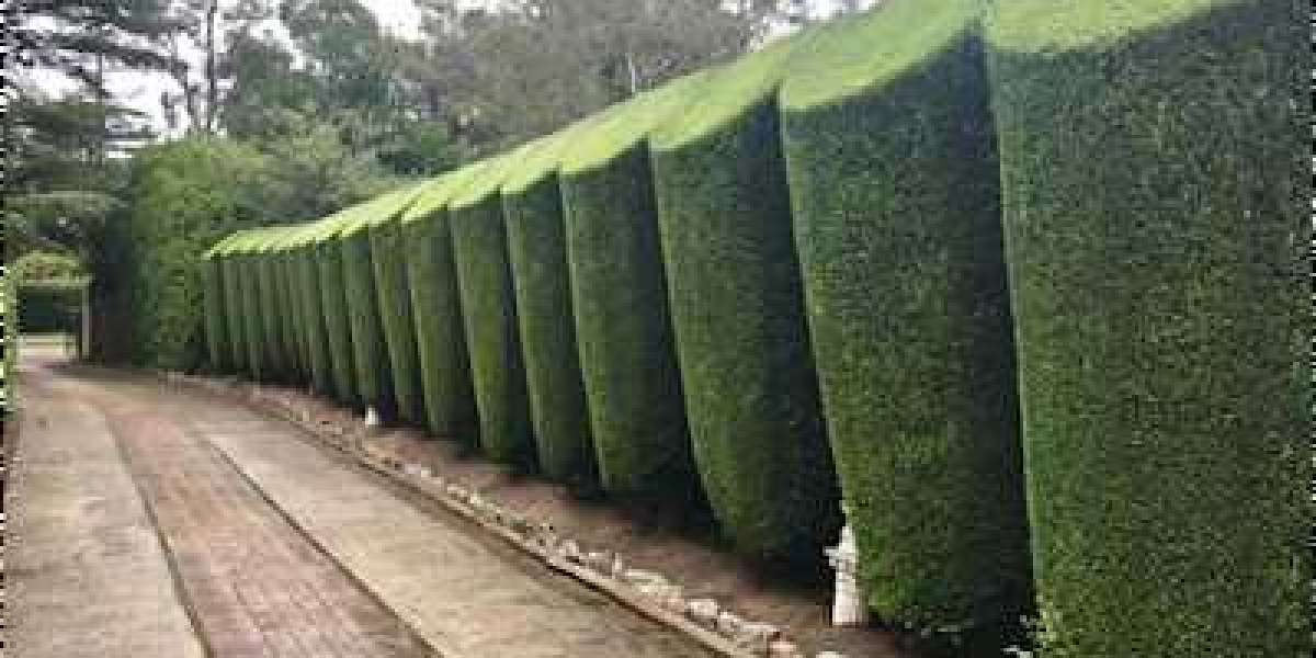 Complete Property Care and Maintenance Assistance from Semms Property Services