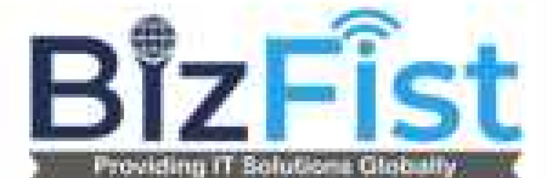 bizfistitsolutions Cover Image